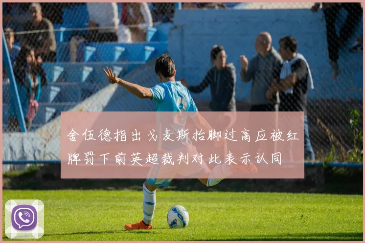 舍伍德指出戈麦斯抬脚过高应被红牌罚下前英超裁判对此表示认同