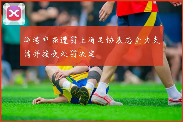 海港申花遭罚上海足协表态全力支持并接受处罚决定